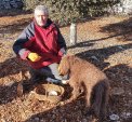 La Truffière du Terrail vous propose la vente de truffes noires du Périgord fraîches issues de l'agriculture biologique ( certification écocert ) Trufficulteur passionné, je souhaite vous faire partager ma passion pour la Truffe noire du Perigord à travers la vente de truffes fraiches du Périgord